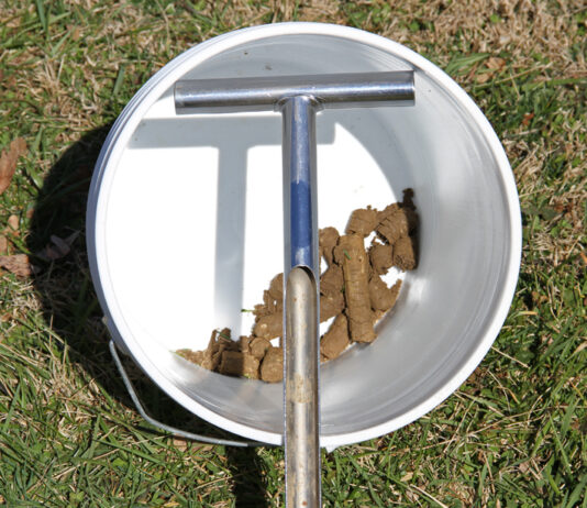Fall soil testing: Optimize field nutrients and fertilizer plans
