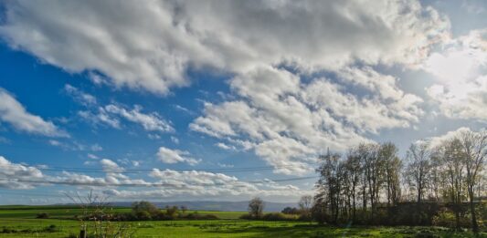 Grass isn’t free: Calculating the true value of your forage pasture