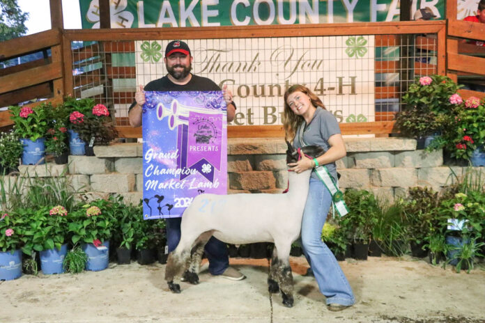 WEB–grand-lamb-KOhmes