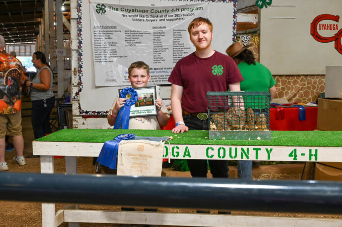 GRAND CHAMPION QUAIL | OMATTHEW MILLARD