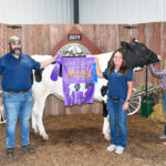 2024 Carroll County Junior Fair Sale