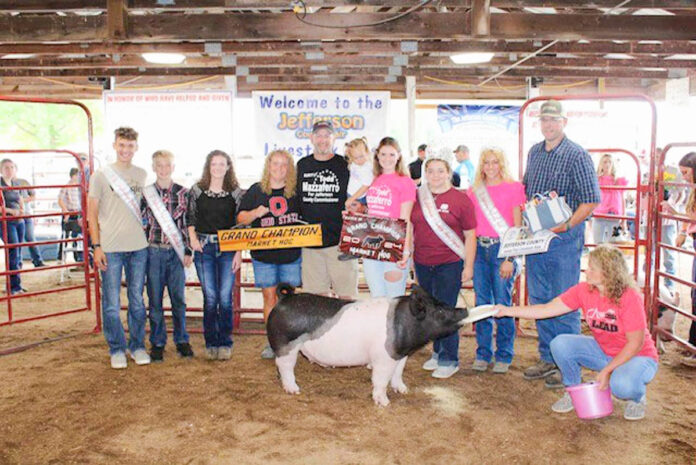 GRAND CHAMPION HOG: AMANDA BORING