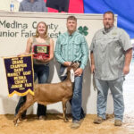 2024 Medina County Fair Livestock Sale