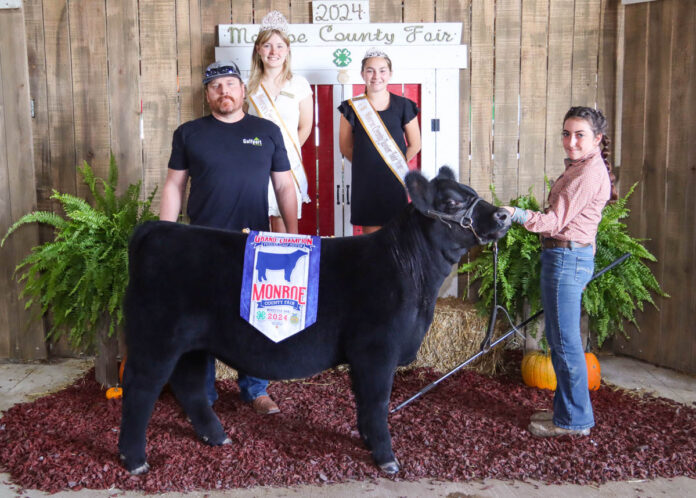 GRAND CHAMPION FEEDER CALF HEIFER: JILLIAN BROWN