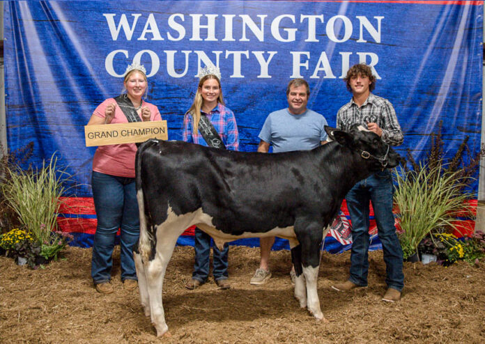 GRAND CHAMPION MARKET DAIRY FEEDER STEER: PARKER KERN