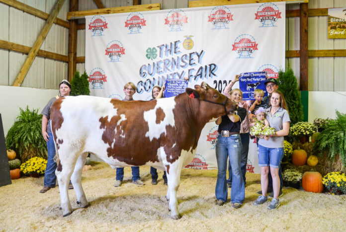 GRAND CHAMPION MARKET DAIRY BEEF STEER: LINDSEY SMITH