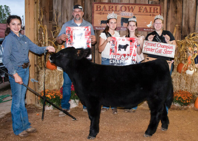 GRAND CHAMPION FEEDER CALF STEER : MADI ZIMMER