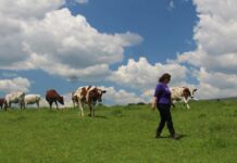 Cold shoulder: With funding frozen, ag conservation projects hang in balance