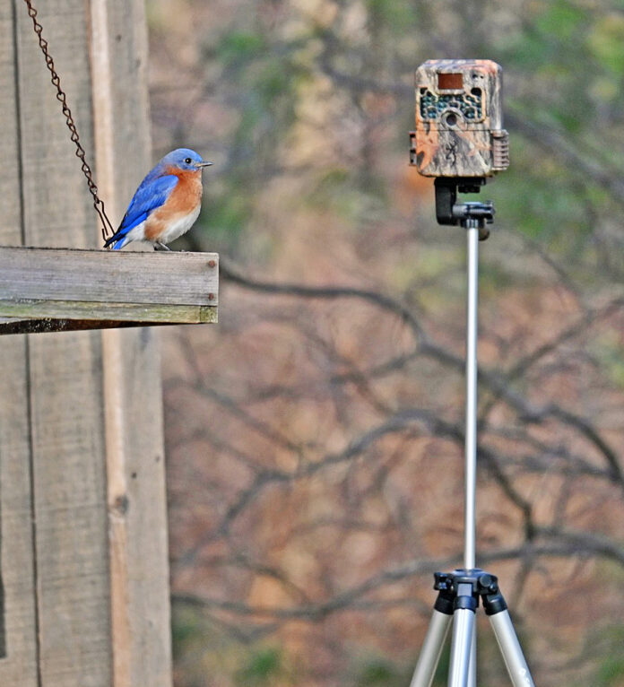 trail camera trail camera