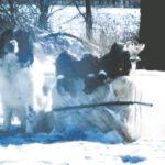 Shadow’s lessons: Life, love, loyalty, laughter and loss