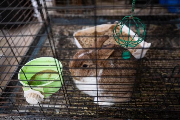 Ravine's Edge Maple Farm