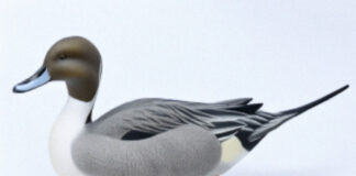 See vintage decoys and demonstrations at two Ohio shows