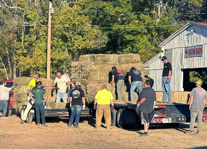 disaster unloading-WEB