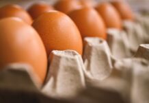 How to safely store eggs and find alternatives amid rising prices eggs