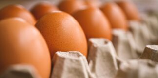 How to safely store eggs and find alternatives amid rising prices eggs