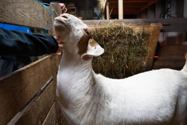 Ravine's Edge Maple Farm