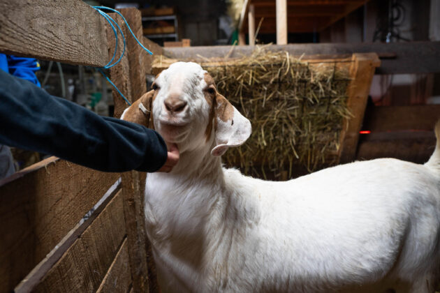 Ravine's Edge Maple Farm