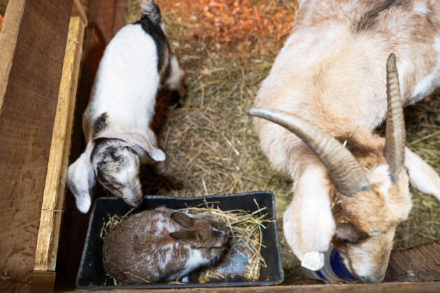 Ravine's Edge Maple Farm