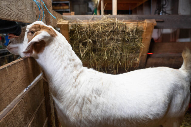 Ravine's Edge Maple Farm