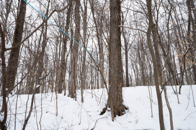 Ravine's Edge Maple Farm