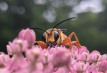 It’s the simple things in life