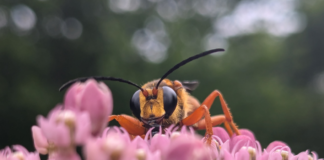 It’s the simple things in life