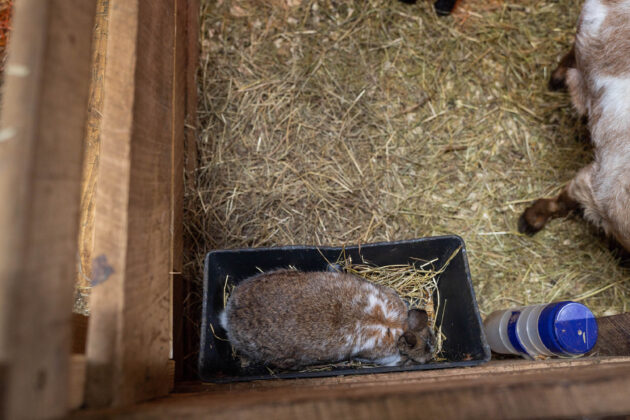 Ravine's Edge Maple Farm