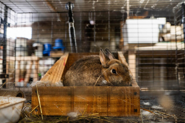 Ravine's Edge Maple Farm