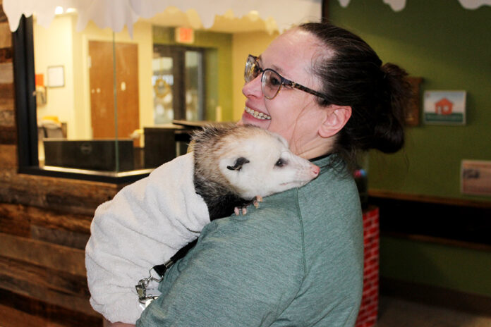 Shandy Myers and schmidt Shandy Myers and schmidt