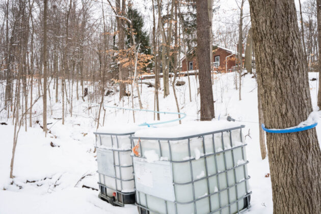 Ravine's Edge Maple Farm