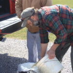 Stock your pond for summer fish sales
