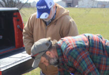 Stock your pond for summer fish sales