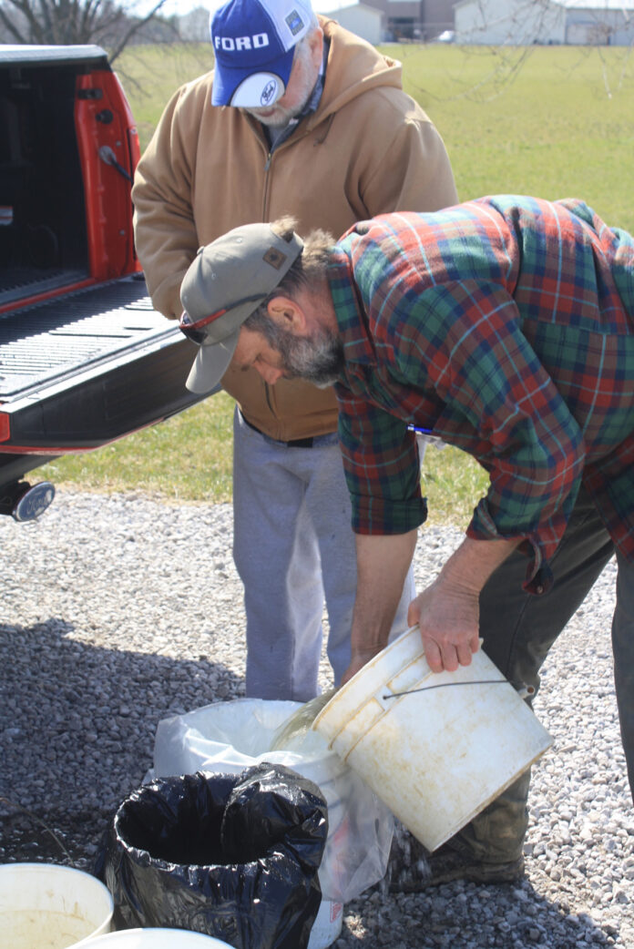 fish sales fish sales