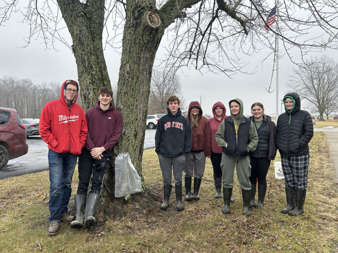 black river maple syrup black river maple syrup