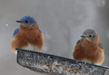 March: The month of mud and wisdom