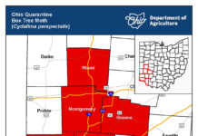 Ohio Department of Ag expands box tree moth quarantine zone box tree moth quarantine