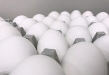 Egg prices, bird flu cases decrease eggs