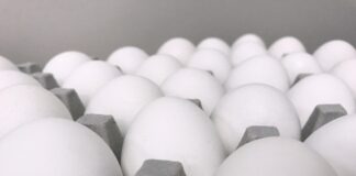 Egg prices, bird flu cases decrease eggs
