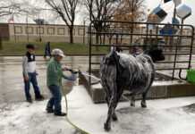 Ohio Beef Expo Junior Show champs