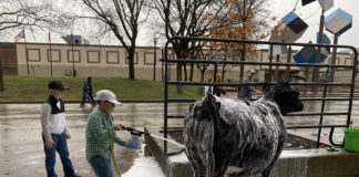 Ohio Beef Expo Junior Show champs
