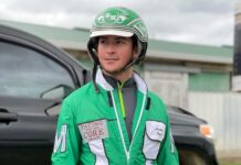 Ohio harness driver dies after accident at western Pennsylvania track