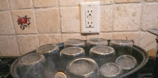 Pressure canner gauge testing available Canning