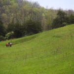 Wayne National Forest closes Timbre Ridge Lake for dam repairs