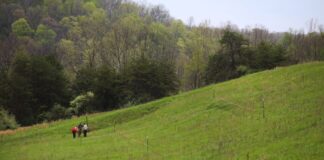 Wayne National Forest closes Timbre Ridge Lake for dam repairs