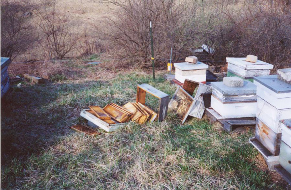 toppled beehives