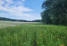 Connection matters: How to create wildlife corridors Wildlife corridor