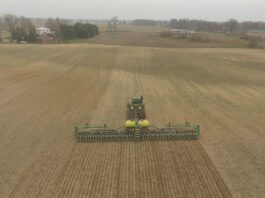 corn planting