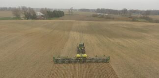 Confusing results after government reports corn planting