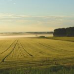 Farmers and ranchers are major SNAP beneficiaries, too farm fog