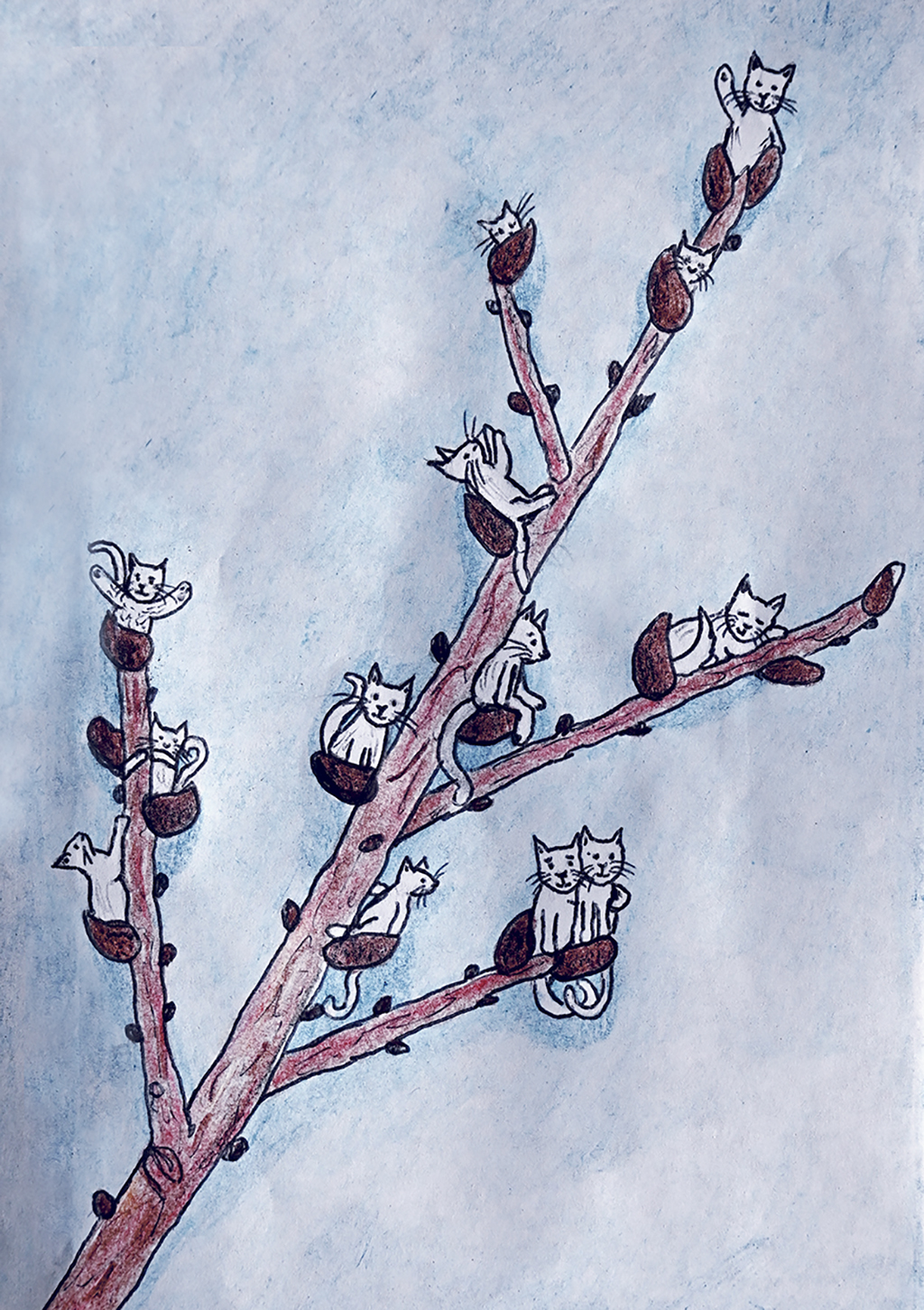 illustration pussy willow